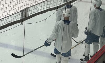 tomas Tatar avalanche