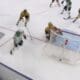 nhl johnston