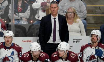 bednar avalanche