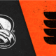 avalanche flyers