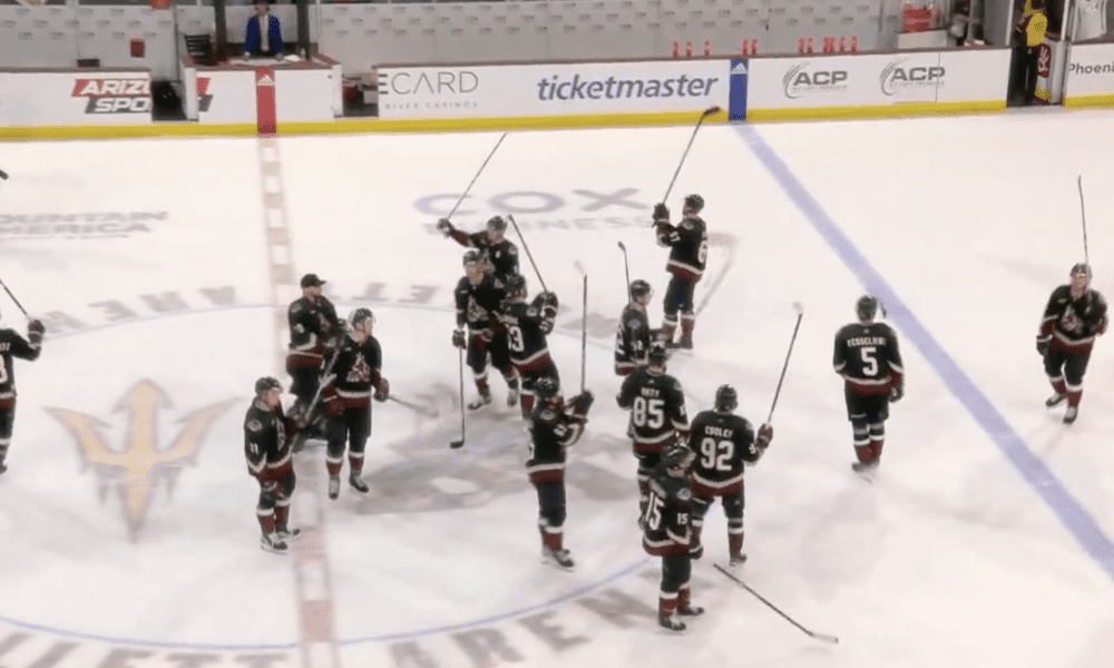 nhl coyotes