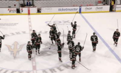 nhl coyotes