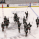nhl coyotes