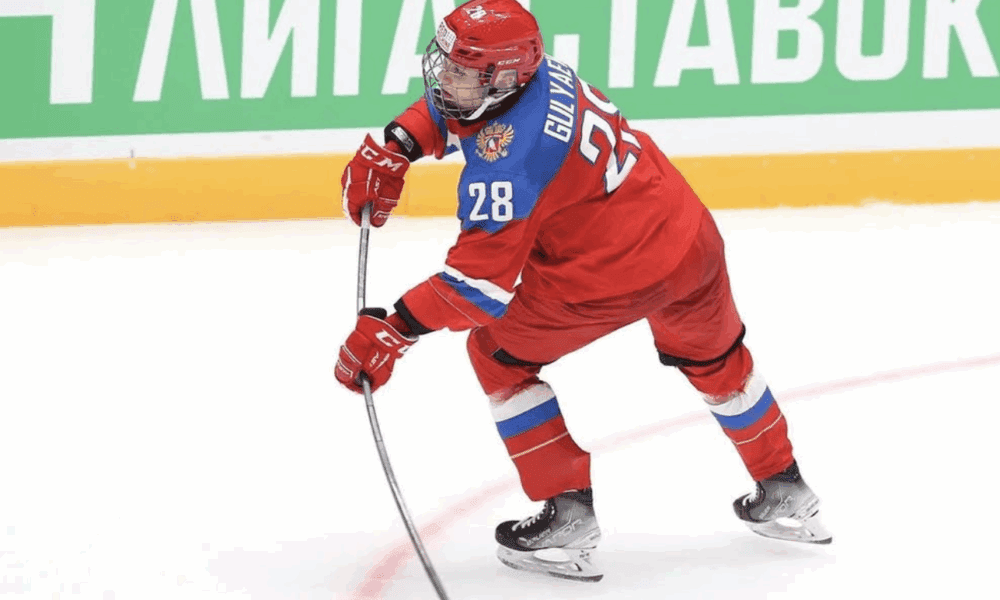 Mikhail Gulyayev